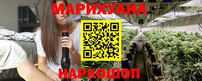 гидра Дубна