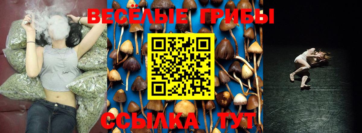 Псилоцибиновые грибы GOLDEN TEACHER Снежинск